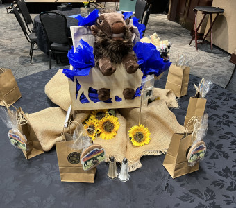 A stuffd buffalo surrounded by blue tissue sticks out of a wooden box featuring a buffalo cut out.  It is sitting on burlap and surrounded by sunflowers and small brown craft paper bags with coasters and buffalo stickers hanging off the sides for Setting the Tables.