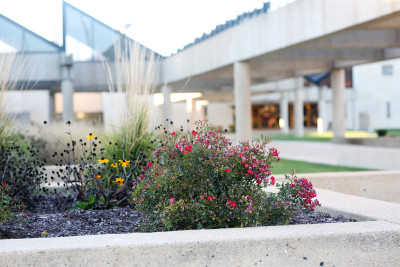 Image of a raised flowerbed in the foreground with the concrete and glass Kansas Museum of History at the Kansas Historical Society in the background.