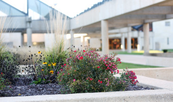 Image of a raised flowerbed in the foreground with the concrete and glass Kansas Museum of History at the Kansas Historical Society in the background.